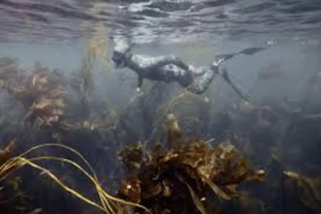 Gite Entre Mer Et Abers Landeda