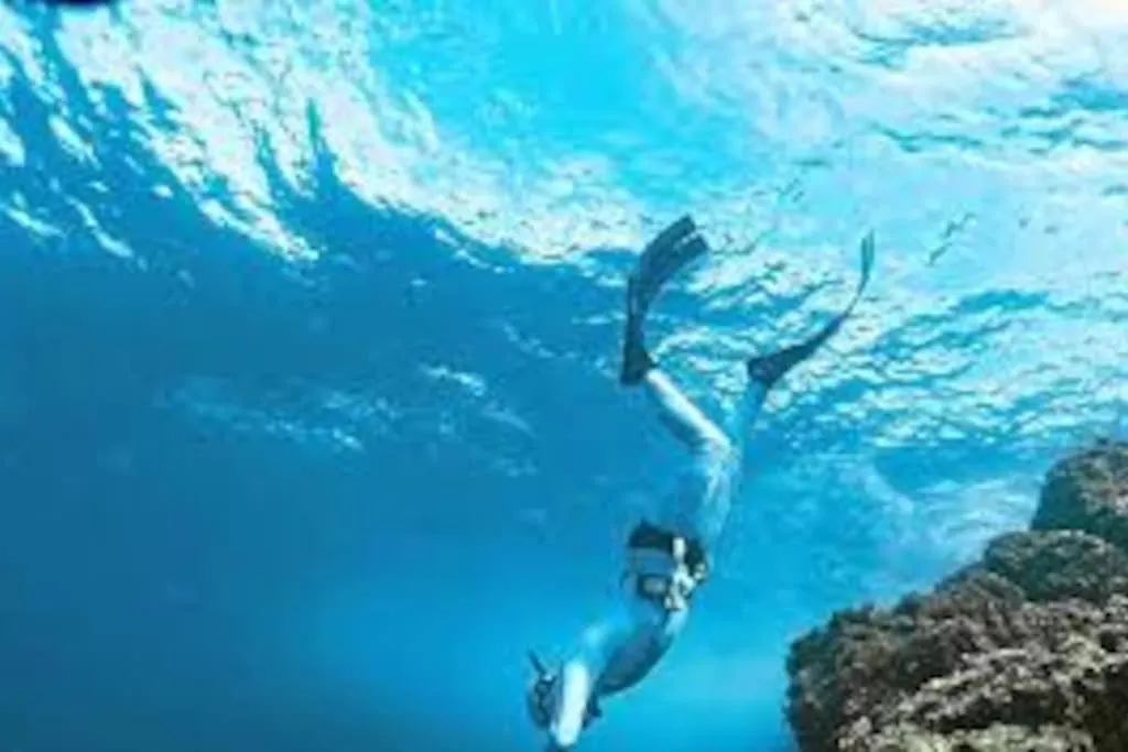 Gite Entre Mer Et Abers Landeda